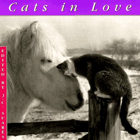 Book cover for Cats in Love