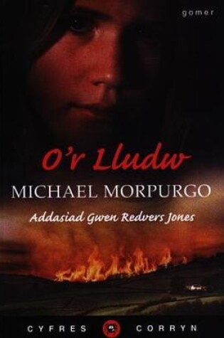 Cover of Cyfres Corryn: O'r Lludw