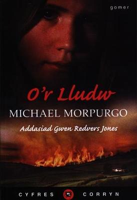 Book cover for Cyfres Corryn: O'r Lludw