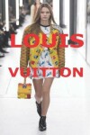 Book cover for Louis Vuitton