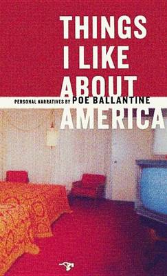 Book cover for Things I Like about America