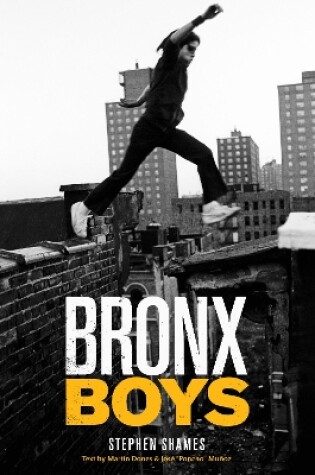 Cover of Bronx Boys