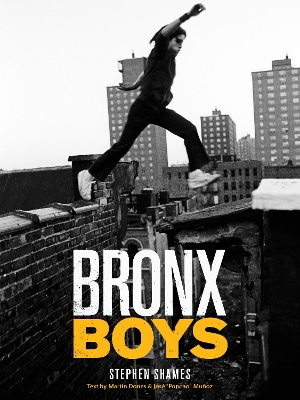 Book cover for Bronx Boys