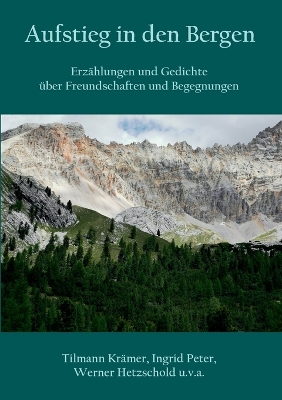 Book cover for Aufstieg in den Bergen