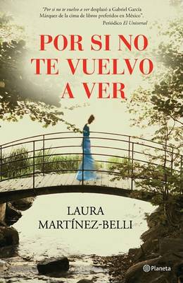 Book cover for Por Si No Te Vuelvo a Ver