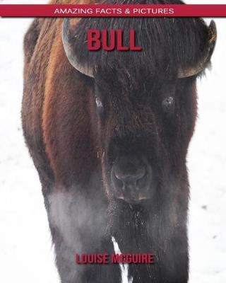 Book cover for Bull