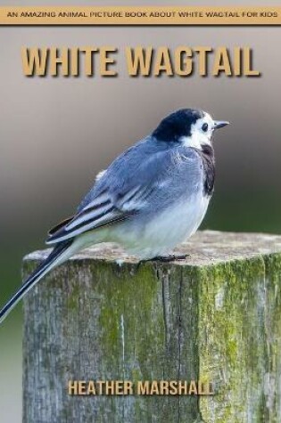 Cover of White Wagtail