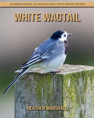 Cover of White Wagtail