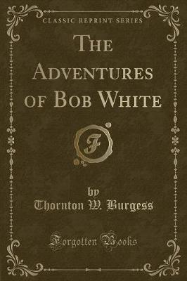 Book cover for The Adventures of Bob White (Classic Reprint)