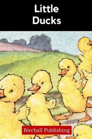 Cover of Little Ducks