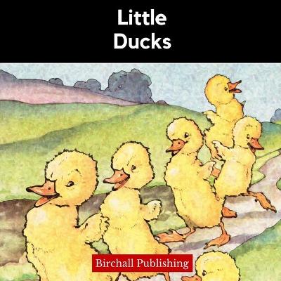 Book cover for Little Ducks