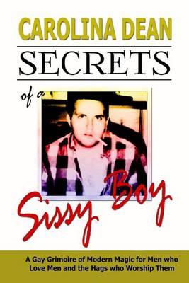 Book cover for Secrets of a Sissy Boy