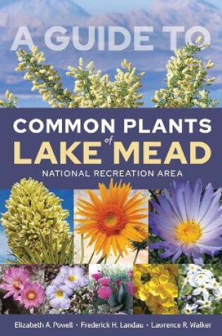 Cover of A Guide to Common Plants of Lake Mead National Recreation Area