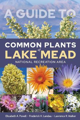 Cover of A Guide to Common Plants of Lake Mead National Recreation Area