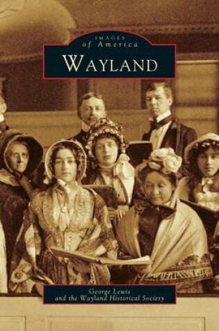 Cover of Wayland