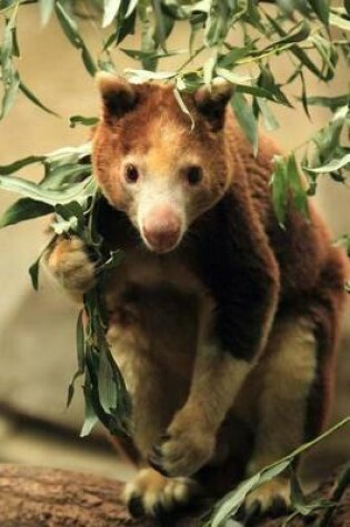 Cover of Huon Tree Kangaroo Journal