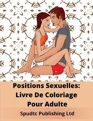 Book cover for Positions sexuelles