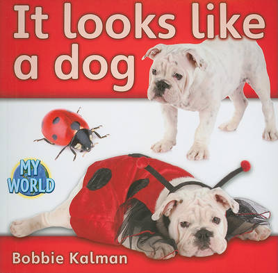 Cover of It looks like a dog