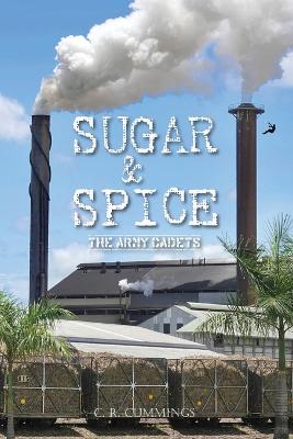 Book cover for Sugar & Spice