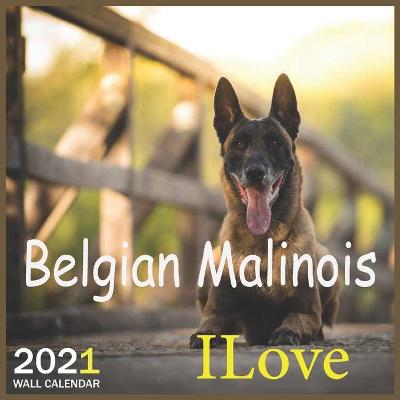 Book cover for ILove Belgian Malinois