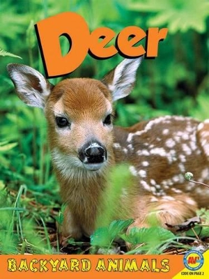 Book cover for Deer with Code