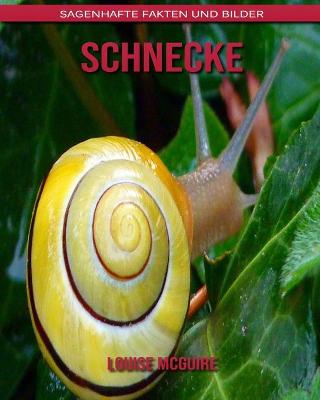 Book cover for Schnecke