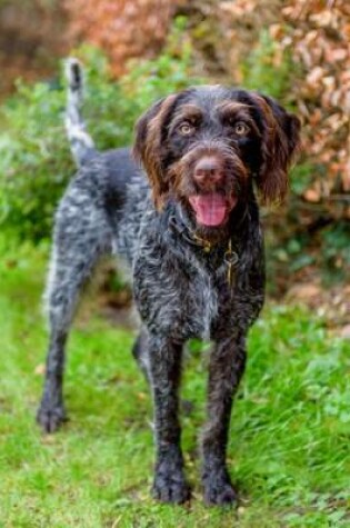 Cover of German Wirehaired Pointer