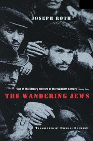 Cover of The Wandering Jews