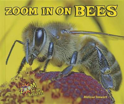 Book cover for Zoom in on Bees