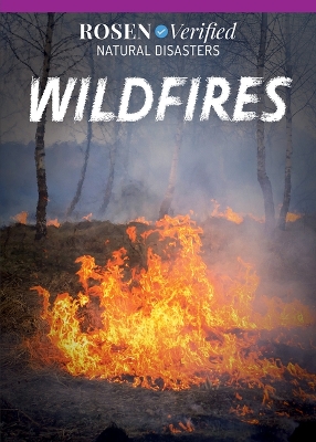 Cover of Wildfires