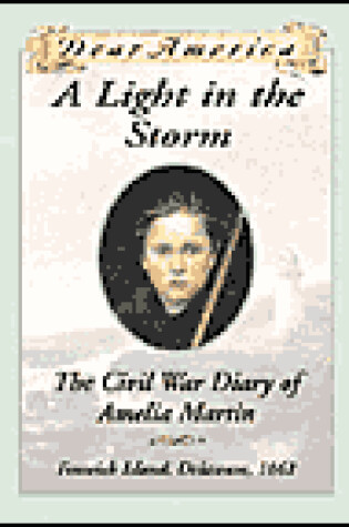 Cover of A Light in the Storm