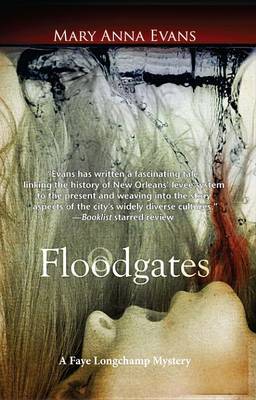 Book cover for Floodgates