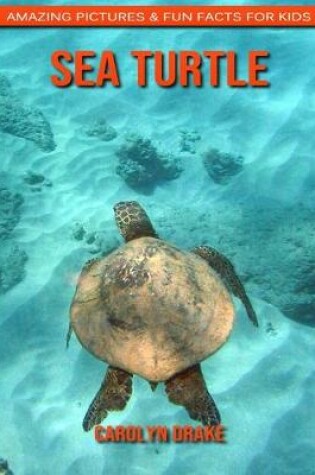 Cover of Sea Turtle