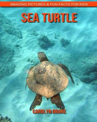 Book cover for Sea Turtle