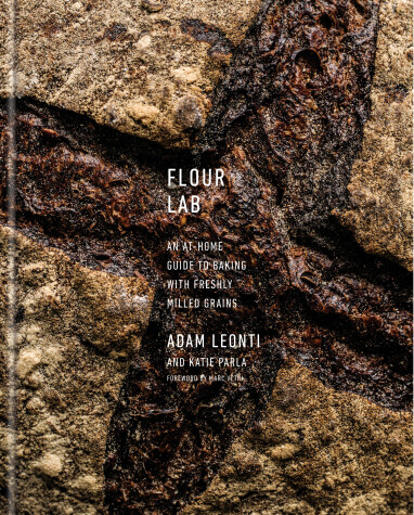 Book cover for Flour Lab