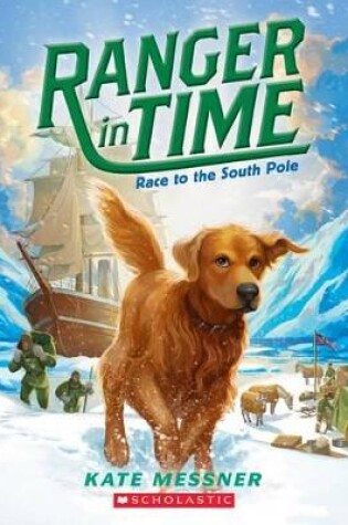 Cover of Race to the South Pole
