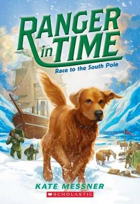 Book cover for Race to the South Pole