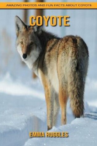 Cover of Coyote