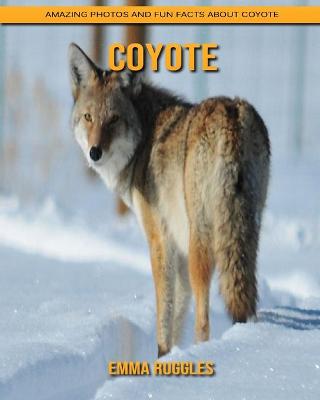 Book cover for Coyote