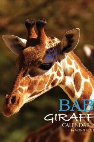 Cover of Baby Giraffe Calendar 2020