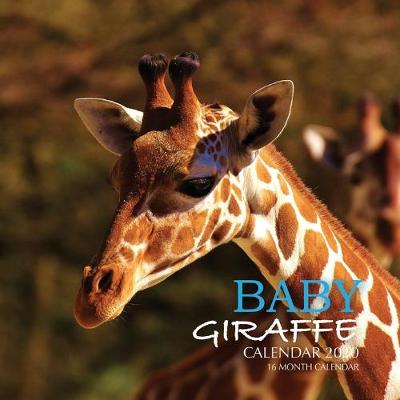 Book cover for Baby Giraffe Calendar 2020