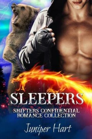 Cover of Sleepers