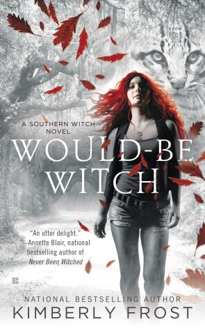 Book cover for Would-Be Witch