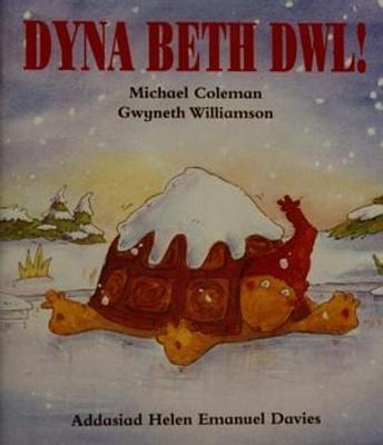 Book cover for Dyna Beth Dwl (Llyfr Mawr)