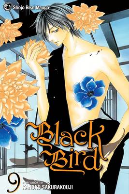 Book cover for Black Bird, Vol. 9