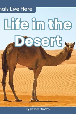 Cover of Animals Live Here: Life in the Desert