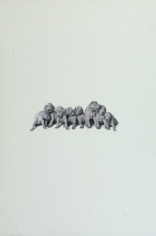 Cover of William Wegman Puppies