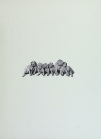 Book cover for William Wegman Puppies