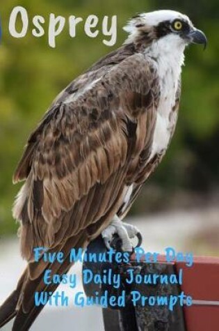 Cover of Osprey Five Minutes Per Day Easy Daily Journal With Guided Prompts