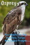 Book cover for Osprey Five Minutes Per Day Easy Daily Journal With Guided Prompts